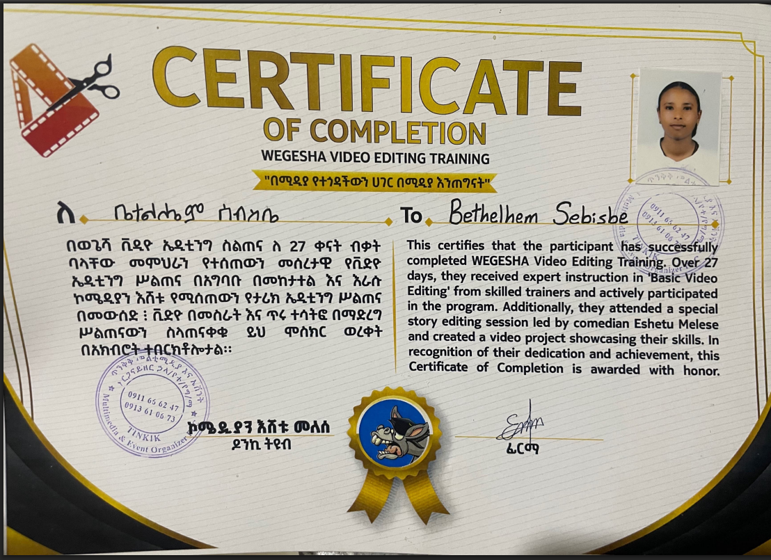 Donkey Tube Video Editing Certificate